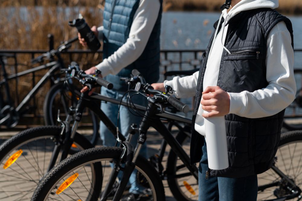 Electric Bike Hub