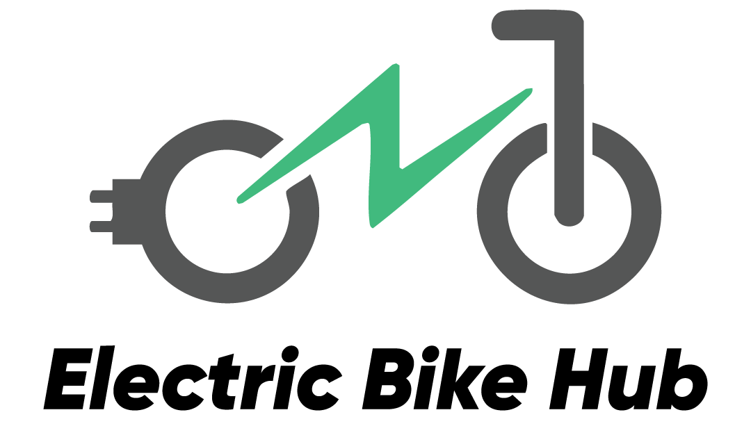Electric bike hub
